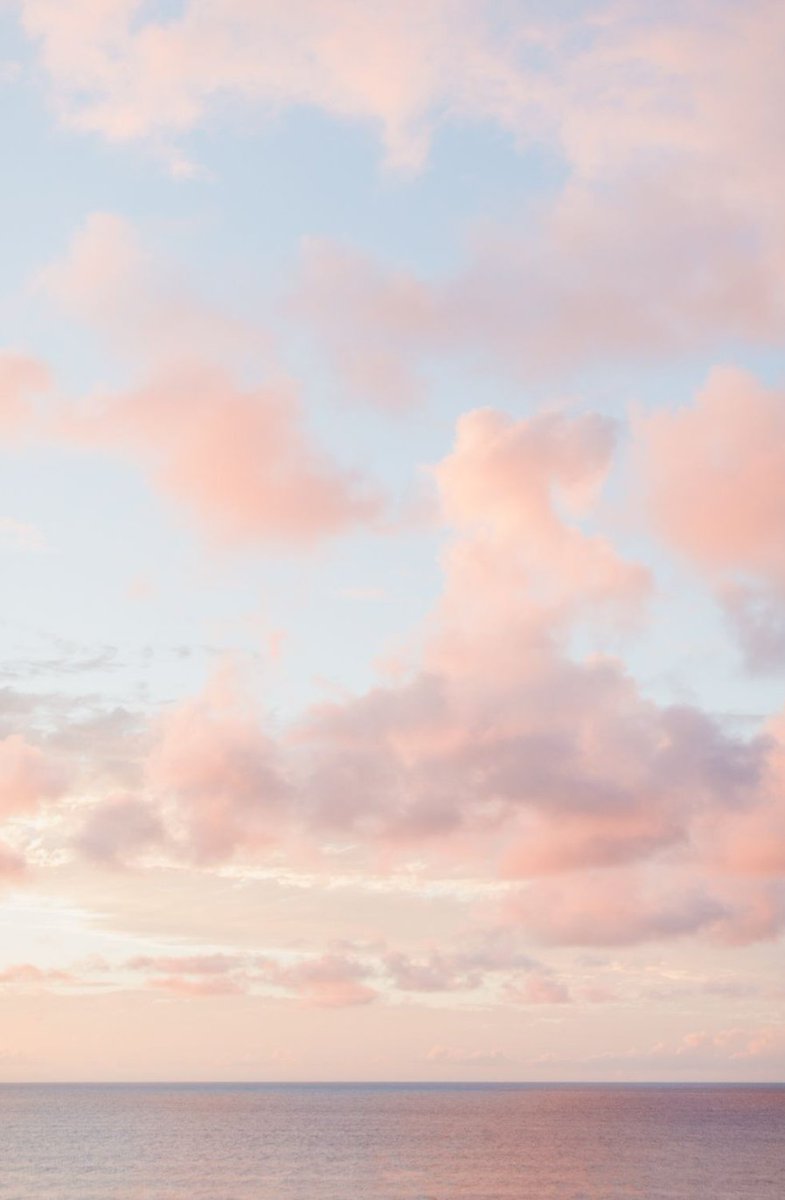 InCreedit's tweet image. 電車が15分遅れてるせいで会議に間に合わない、もう諦めモード 🐖