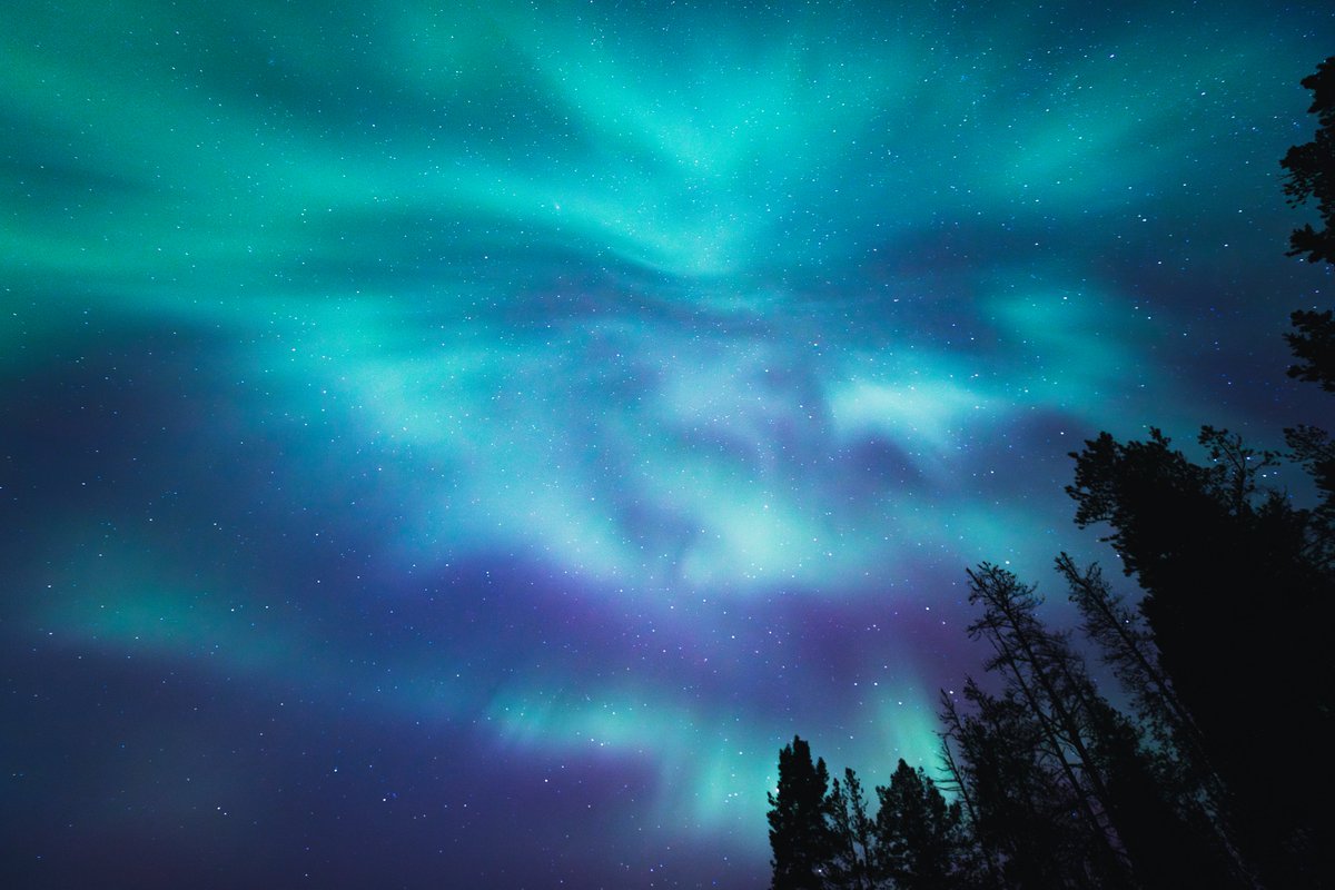 Magical Aurora over Vancouver, BC! 🇨🇦