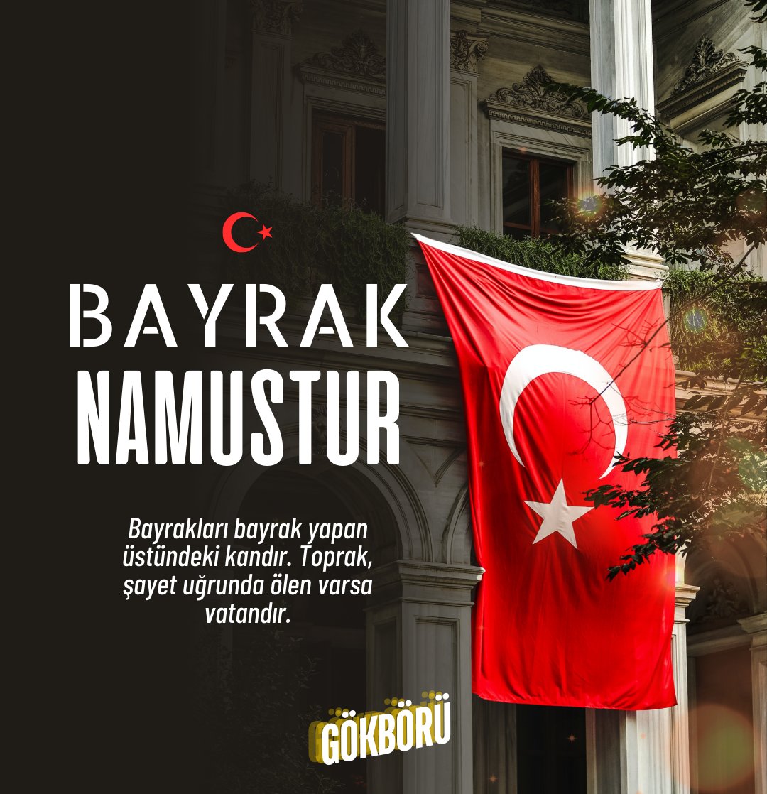 GÖKBÖRÜ 🇹🇷 tweet media