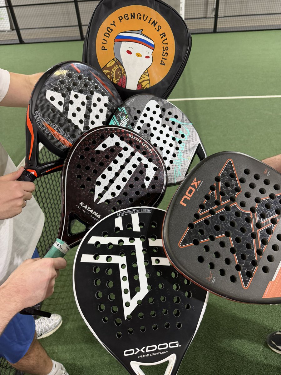 Pudgy Penguins Russia/CIS🐧 tweet media