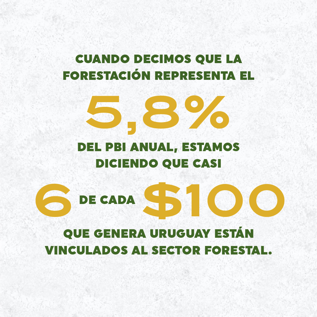 Sociedad de Productores Forestales tweet media