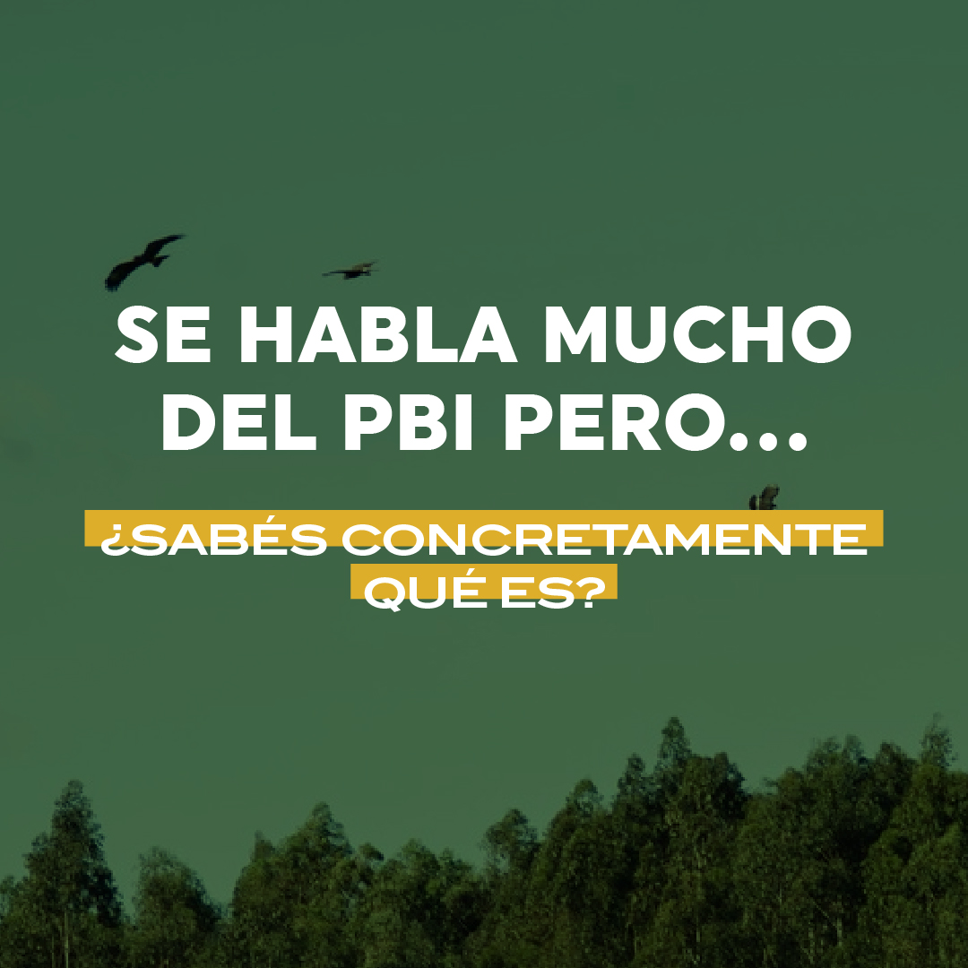 Sociedad de Productores Forestales tweet media