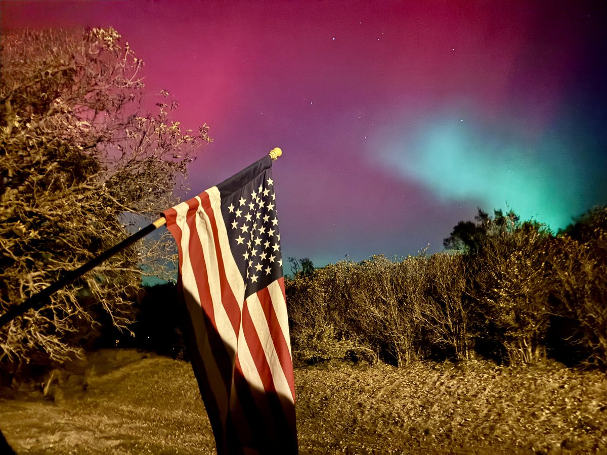 Jaded (@jaded45406145) on Twitter photo 