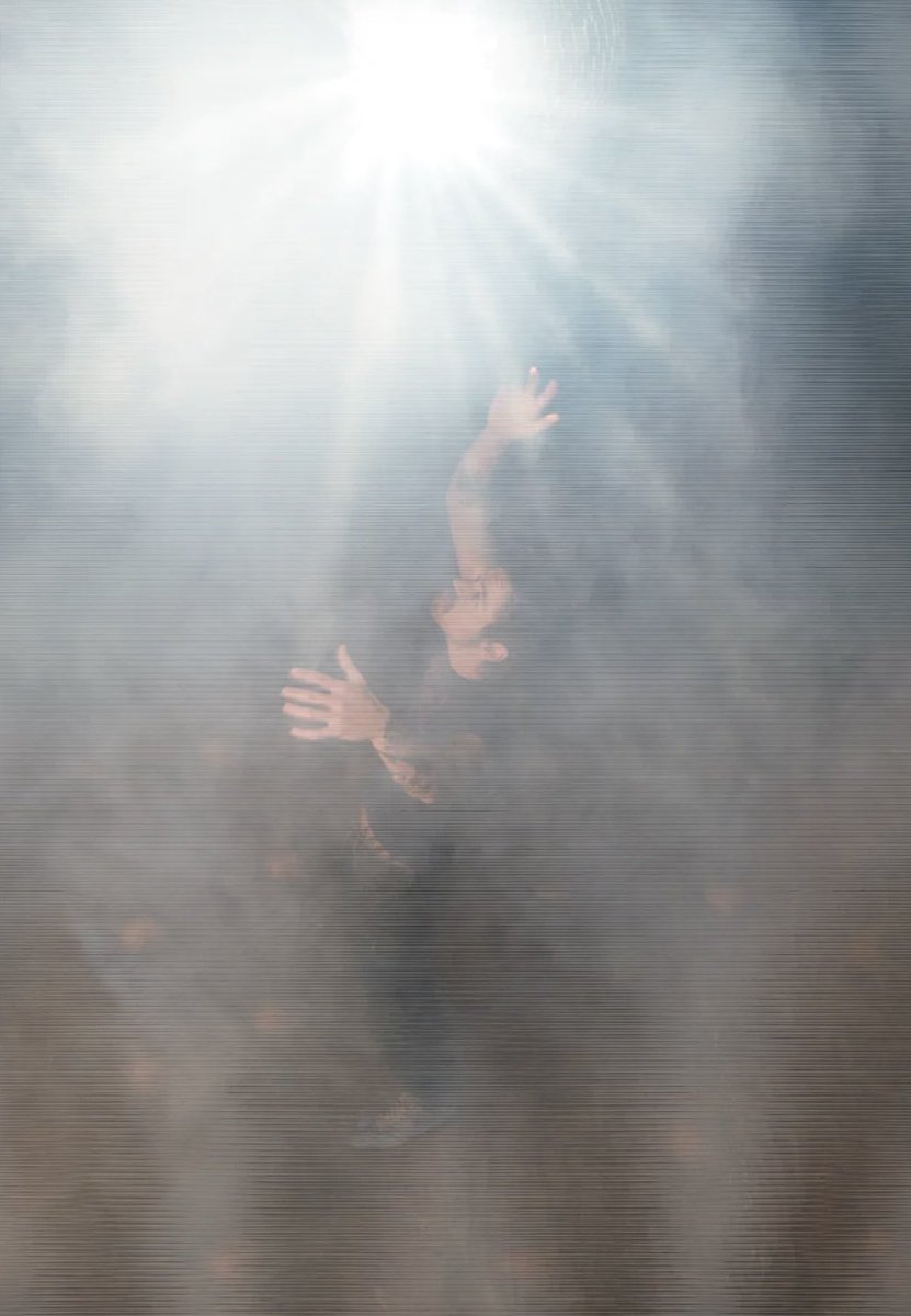 Harry Styles Brasil tweet media