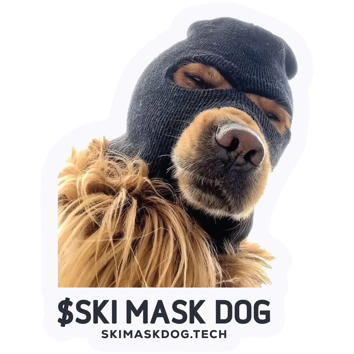 Ski_CTO's tweet image. coming this week 

$SKI stickers to the merch store 

SkiMaskDog.tech