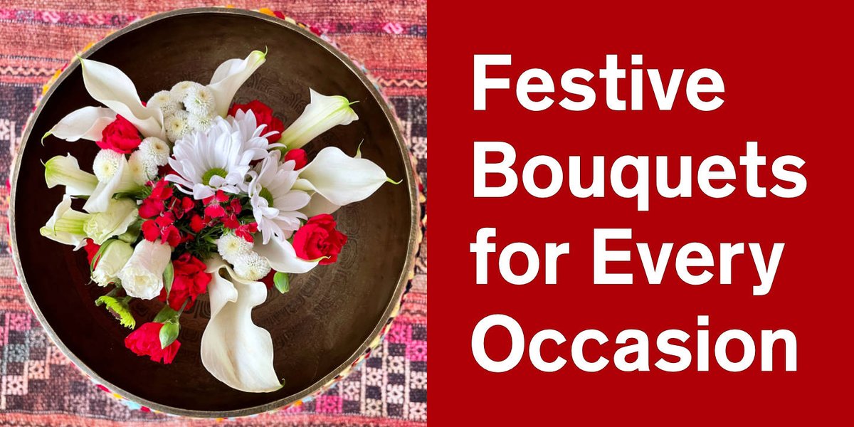 Jason Castle tweet media