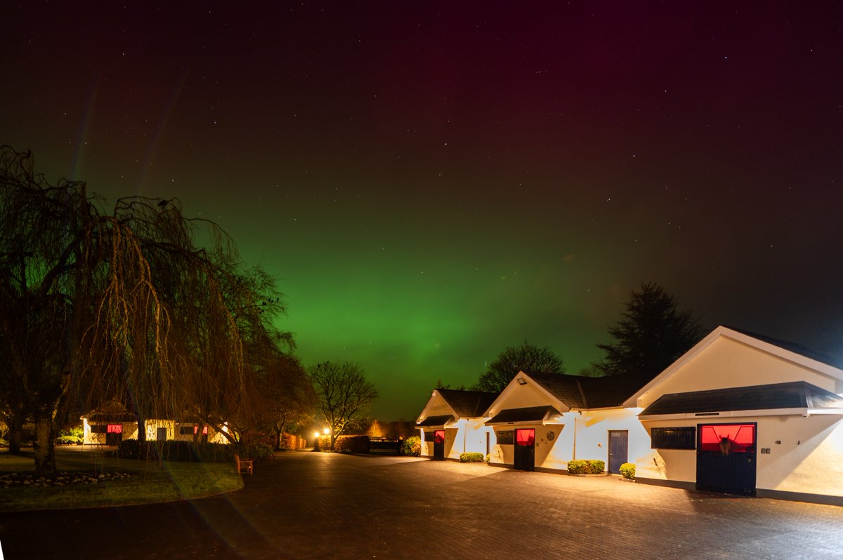 Bright start! 

Aurora Borealis brings first foal for Henry Longfellow

Read more 👉 bit.ly/49wnuXJ