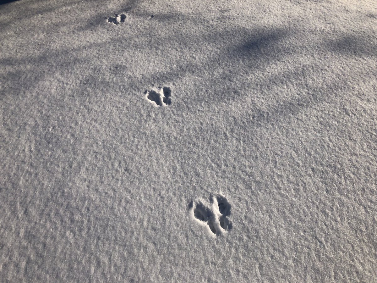 Bernie Aprils tweet media