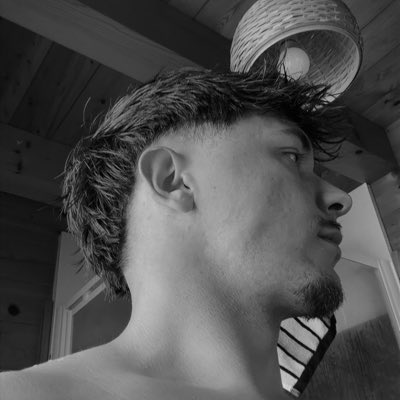 🇫🇷 tweet media