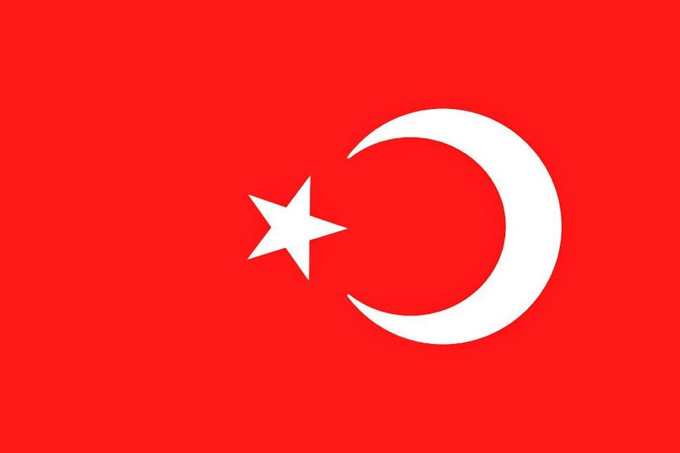 Bir bayrağınız, bir dilinizin bile olmamasının acısı, leş olursunuz inşallah hayallerinizin gideceği tek yer de paint bu arada.