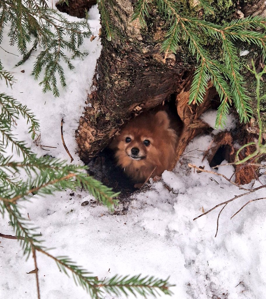 Markus Granlund tweet media