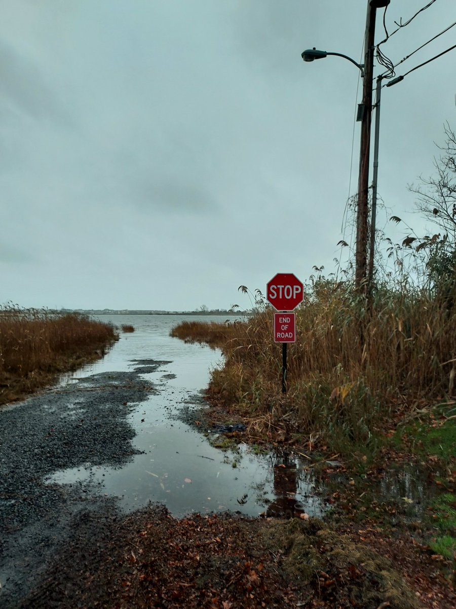 𝐸𝘭𝘪𝘻𝘢𝘣𝘦𝙩𝙝 ⁷ ♓︎ tweet media