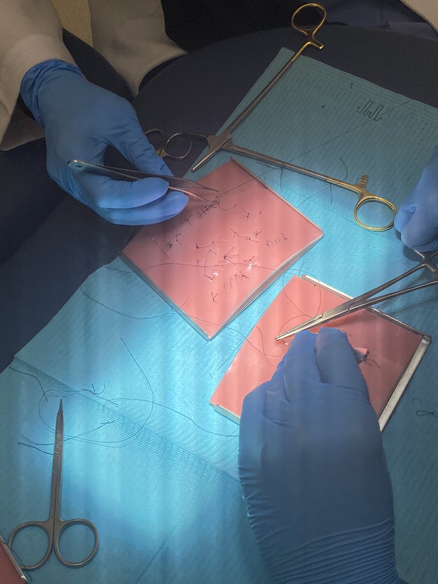 LujainDent's tweet photo. Practicing suturing 🪡 https://t.co/A5u6O6ybCO