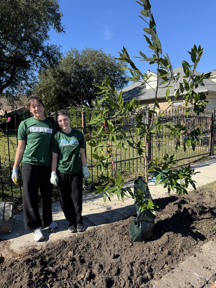 Tulane Swim & Dive tweet media