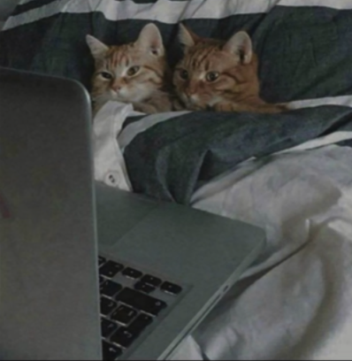 doido pra ficar o fds inteiro assim