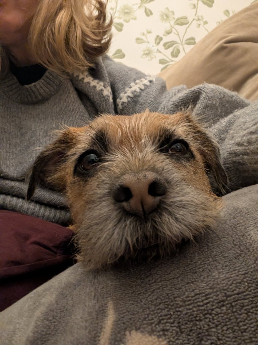 Daisy Benson 💙 tweet media