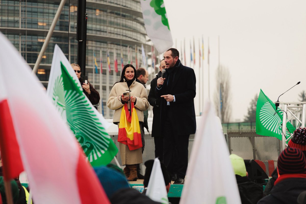 Nicolas Bay tweet media