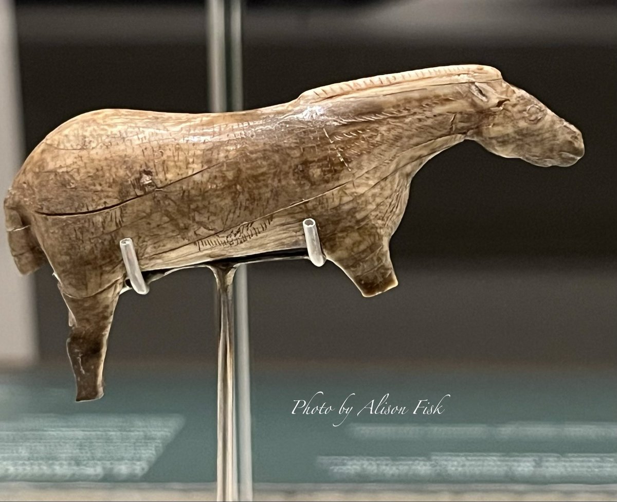 AlisonFisk's tweet image. Ice Age art!

A lovely little horse figurine sculpted from mammoth tusk around 15,000 years ago!

Known as ‘The Little Horse of Lourdes’ it was found in 1886 in the cave of Les Espélugues, Lourdes, Haute-Pyrénées, France. 📷 by me.

#Archaeology