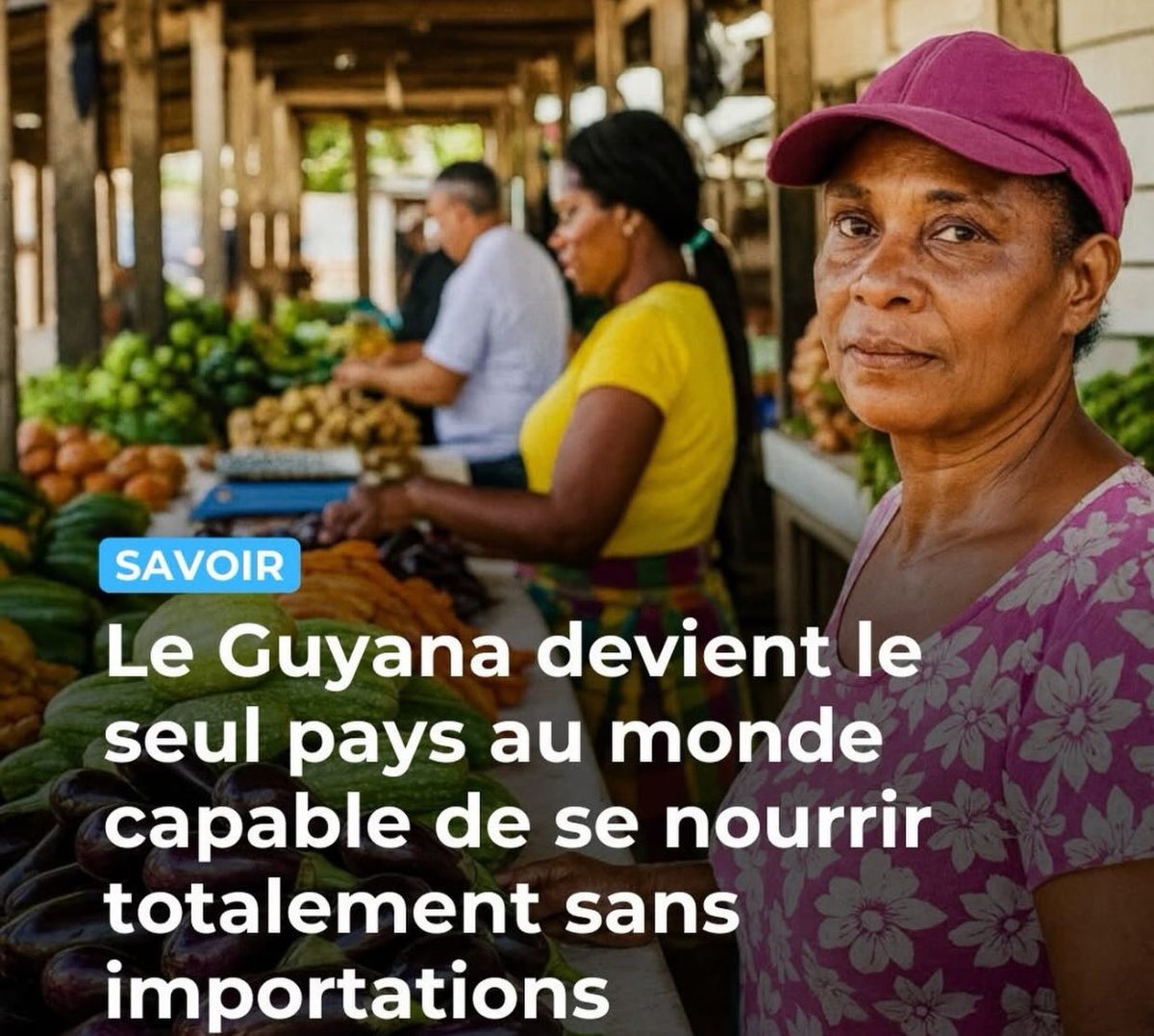 🇬🇾Le Guyana devient le seul pays au monde capable de se nourrir totalement sans importations ! 
L'analyse menée sur 186 pays montre que beaucoup ne produisent pas assez pour une alimentation saine et équilibrée. 
 
Source : viensonpartloin