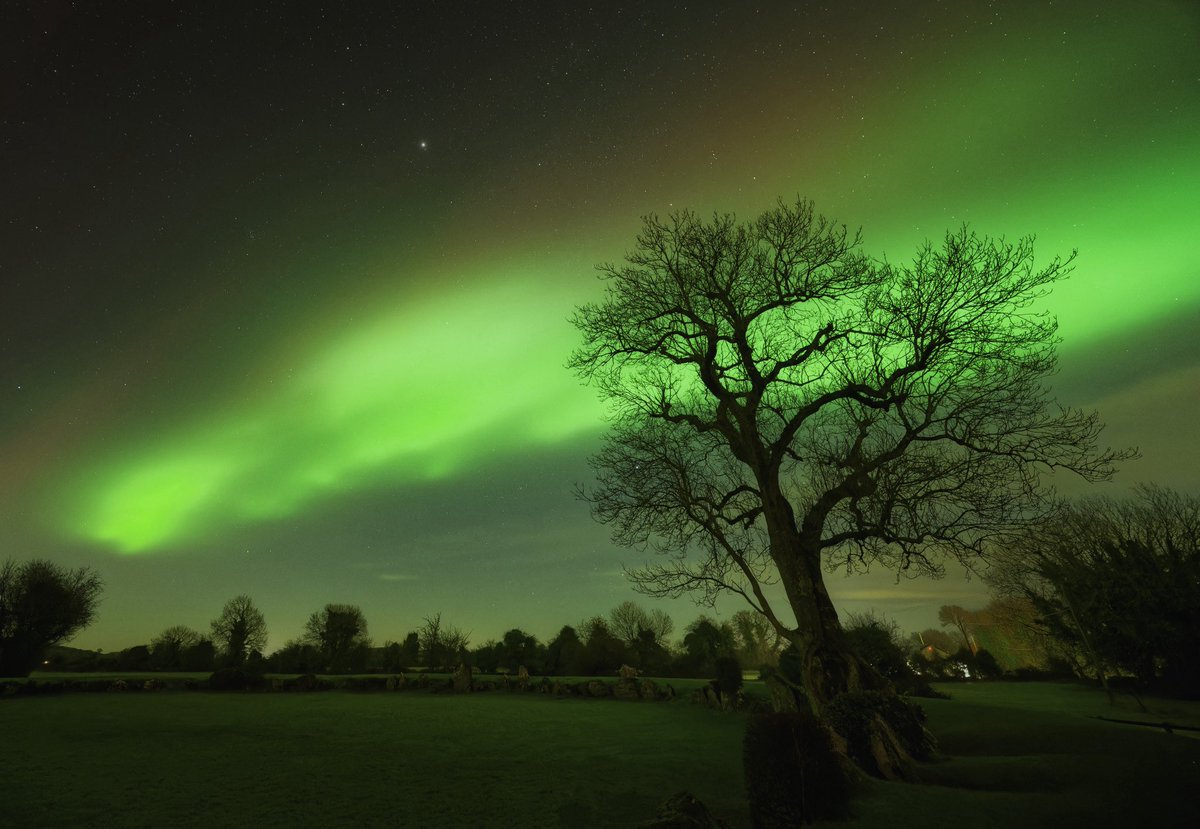 seanorphoto's tweet photo. Last nights aurora display over Grange Stone Circle in Co Limerick @Limerick_Leader #aurora #ireland https://t.co/eTUcCXwvbK