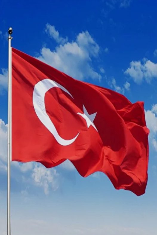 Bertan AKYOL, Prof. Dr. (@bertanakyol) on Twitter photo 