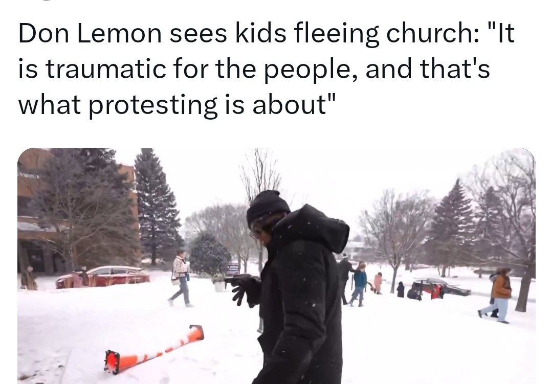 Don Lemon is a domestic terrorist.