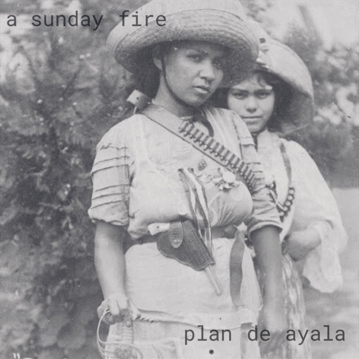 A Sunday Fire tweet media