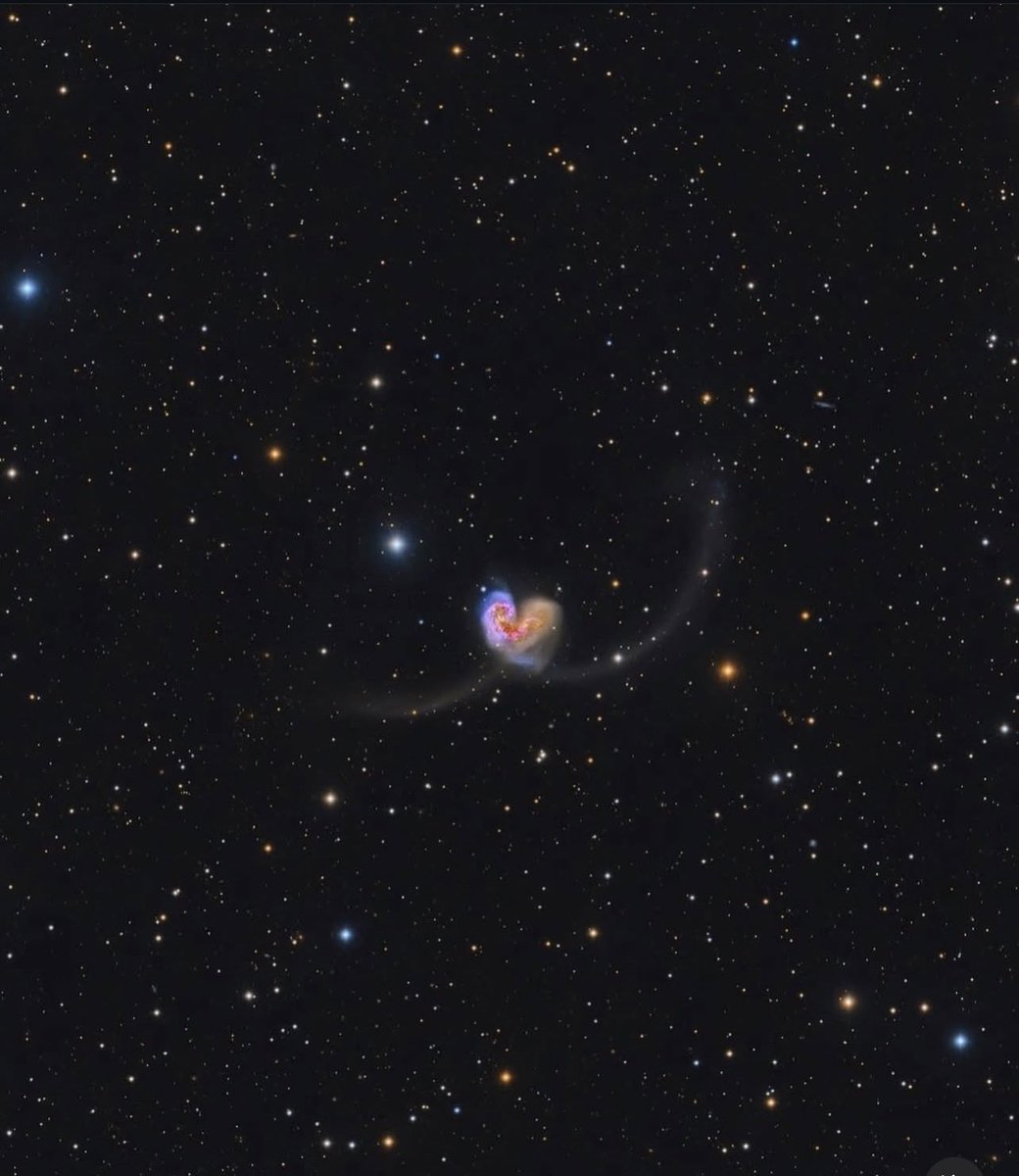 A heart in space. 🫀🌌
NGC 4038 and 4039, the Antennae Galaxies, are two galaxies colliding and creating bursts of new stars. What looks like chaos is actually the birthplace of something new.
Science shows us how the universe works.
Art helps us feel why it matters.