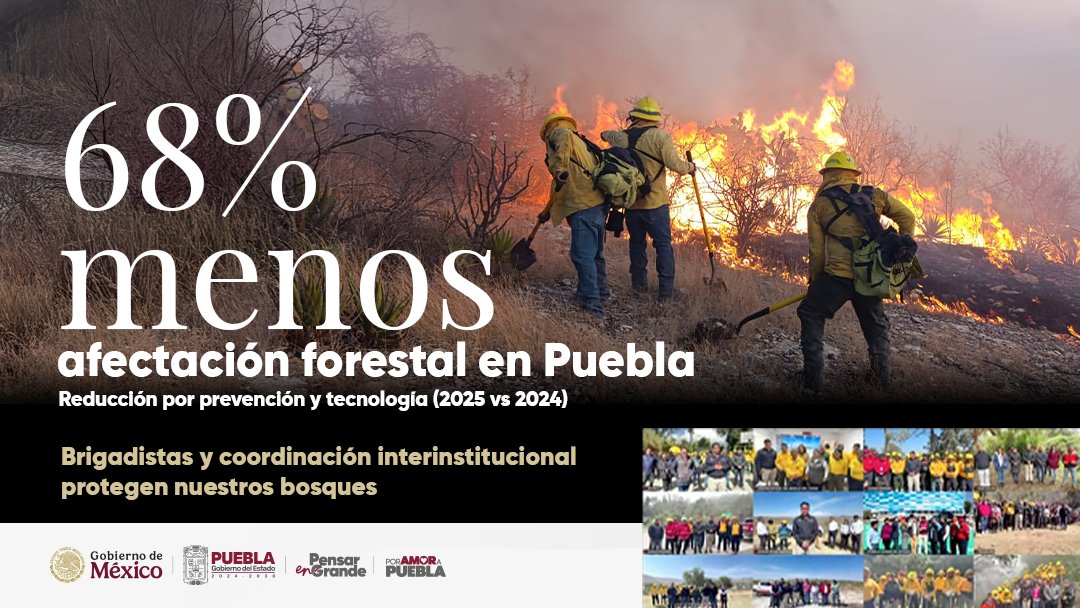 🌲🔥Prevenir también es proteger lo que somos.

Gracias a un esfuerzo coordinado y al trabajo incansable de brigadistas, en Puebla la afectación forestal se redujo 68 %. 

Tecnología, planeación y compromiso hacen la diferencia.
#PensarEnGrande #PorAmorAPuebla