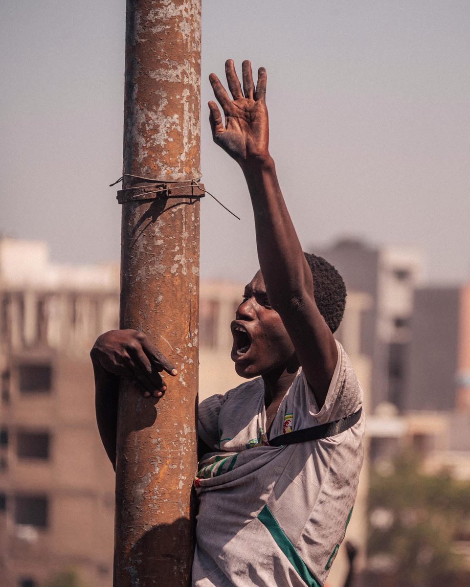 eyelit studio tweet media