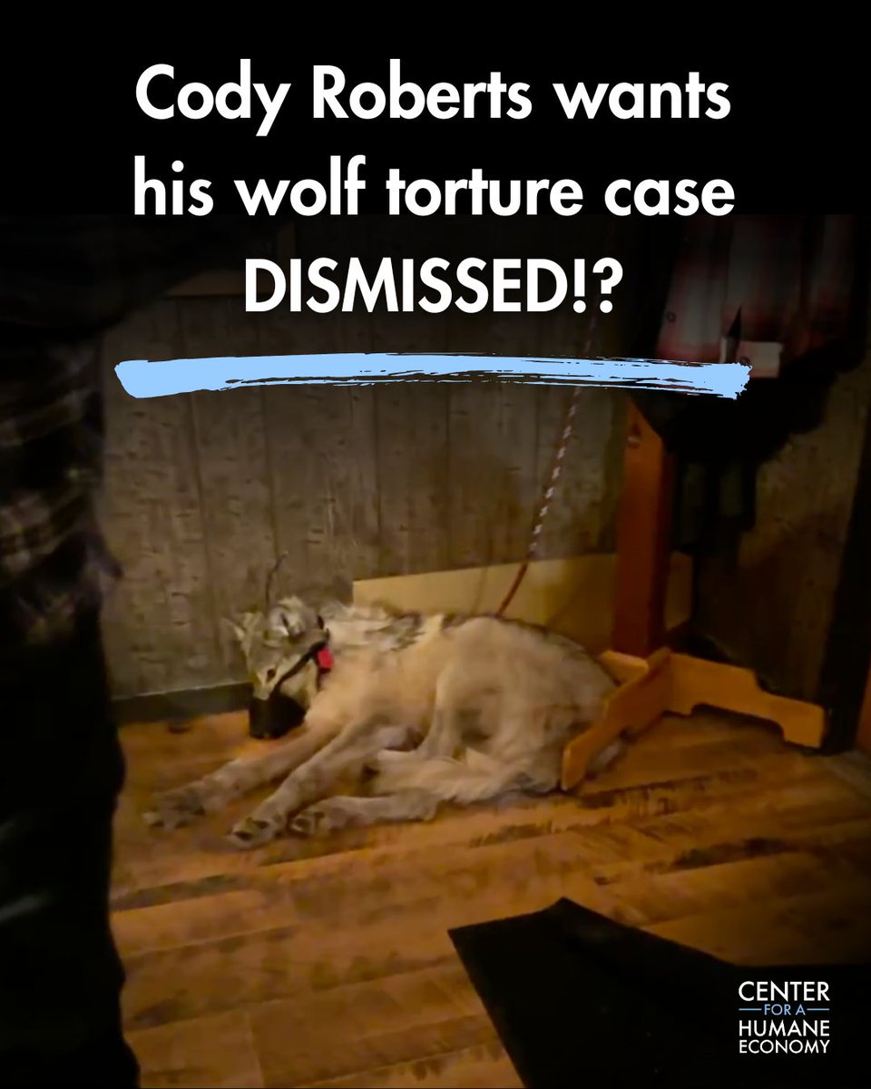 Center for a Humane Economy tweet media