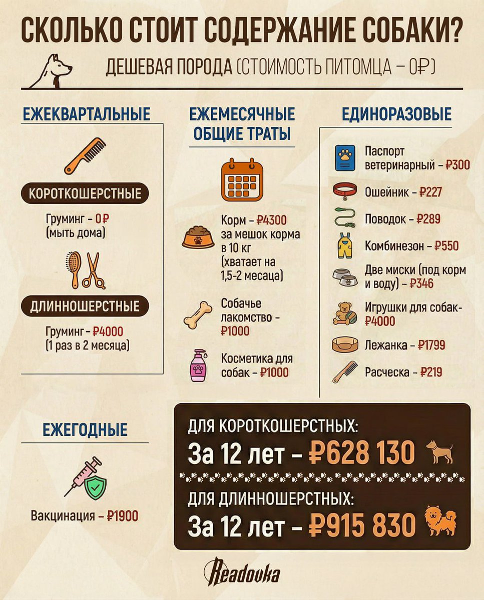 Кашмаррр ) ₽265 тыс понадобится на содержание элитной собаки в год, а на обычную — в 3 раза меньше
