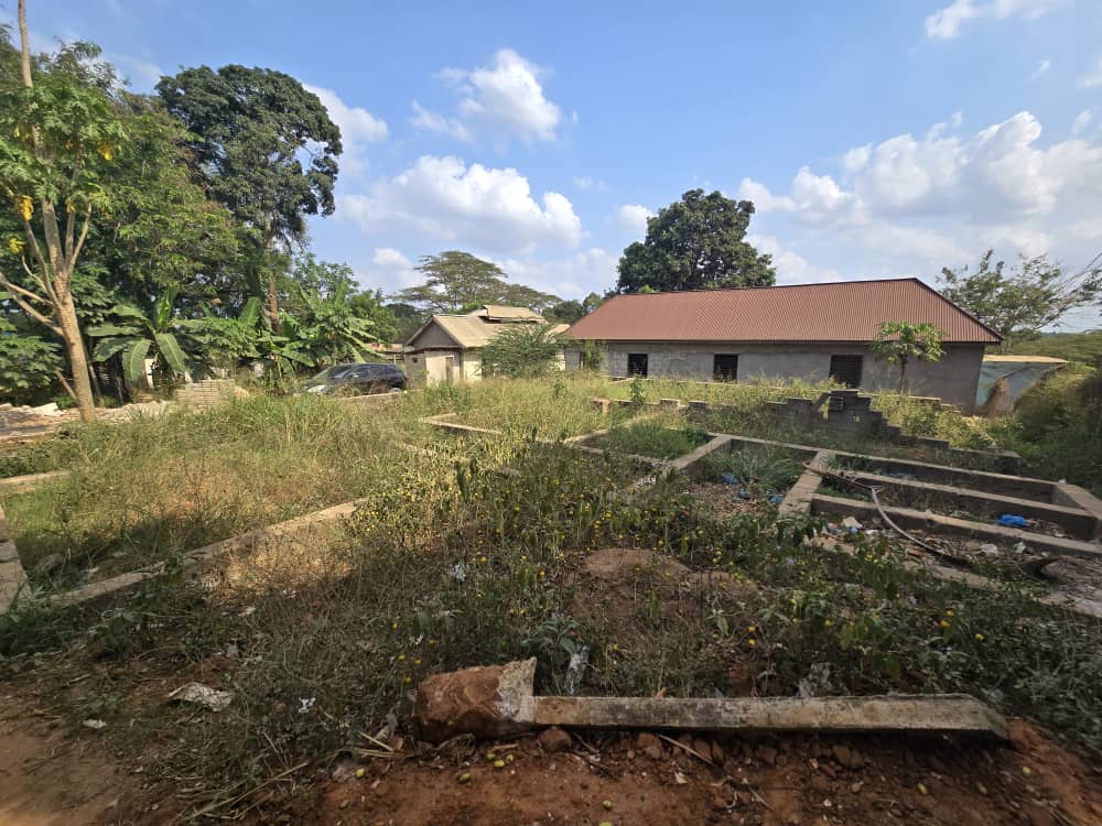 ExMayorUbungo's tweet photo. Baada ya kuchaguliwa kuwa Mwenyekiti wa CHADEMA kanda ya Pwani, Oktoba 2024 nikiwa ndani ya kuta za gereza la Segerea.

Nilifika eneo la ujenzi wa ofisi ya CHADEMA, Mkoa wa pwani, Wilaya ya Kibaha na kuona ujenzi wa ofisi uliokwama kwa muda mrefu.

Niliomba wanikabidhi eneo hili la ujenzi lililokuwa na msingi niliendeleze kwa ujenzi wa ofisi ya CHADEMA Mkoa na Wilaya yenye ukumbi wa watu 150 ndani yake.

Ndani ya mwaka mmoja nimefanikiwa kulinyanyua Jengo lote na jana nimekabidhi vifaa vya ujenzi  ili kukamilisha awamu ya kwanza ya ujenzi kwa kupiga renta na tofali za juu, jumla ya gharama kwa awamu hii ni Tsh. milioni 10.

Muda si mrefu nitaingia awamu ya pili ya upauaji wa jengo, madirisha na kupiga plasta jengo lote.

Nimefurahi jana kutembelea ujenzi kama sehemu ya kuadhimisha miaka 33 ya kuzaliwa kwa CHADEMA.

Zawadi yangu ya pekee kwa CHADEMA nikujenga taasisi imara na ya kudumu na kutumiwa na vizazi vijavyo.