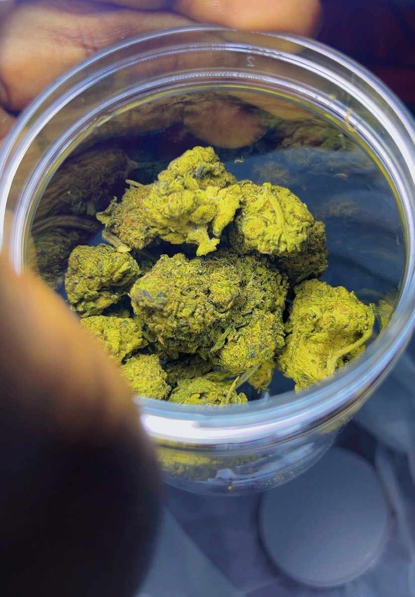 Visionariocrema's tweet image. Rapaziada disponível purple grenn
Acessa loja.menu/maconhariosp