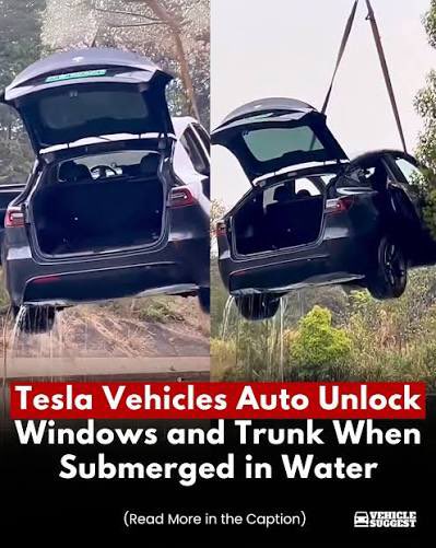 Tobi Mülhauser 🍕 tweet media