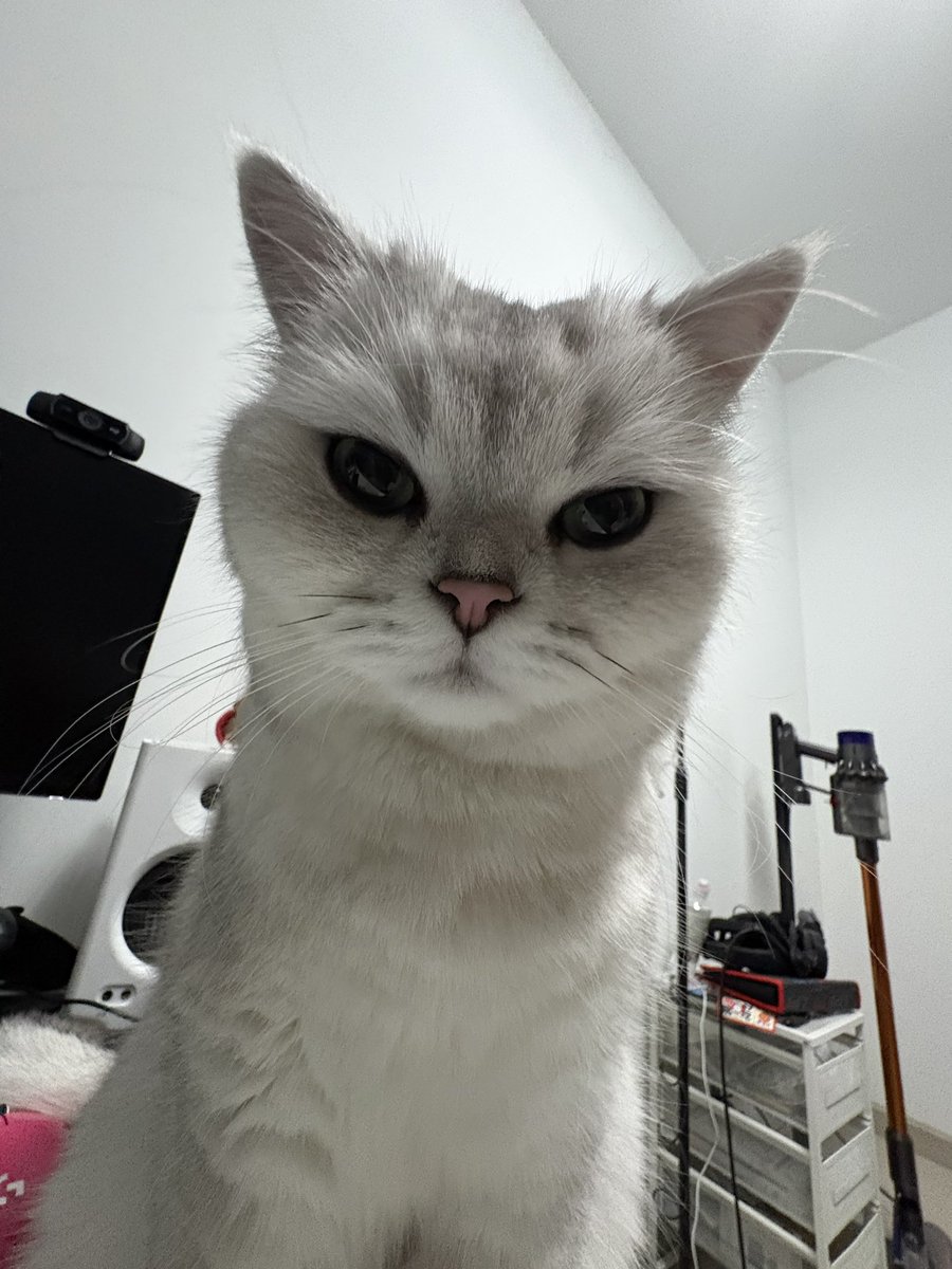 _chnonn's tweet photo. 给钉钉拍几张丑照 https://t.co/pNmEwqjTM1