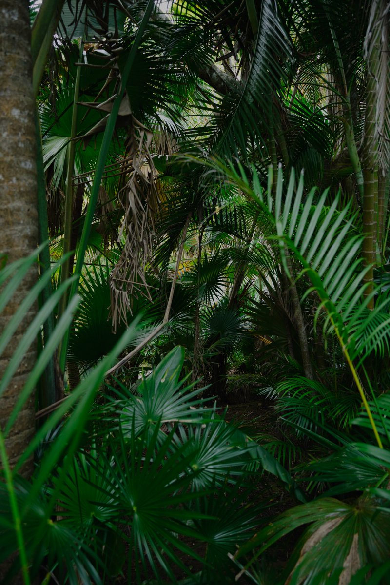 samsmith's tweet photo. Amor 🌿 https://t.co/tFgzQSPDBL