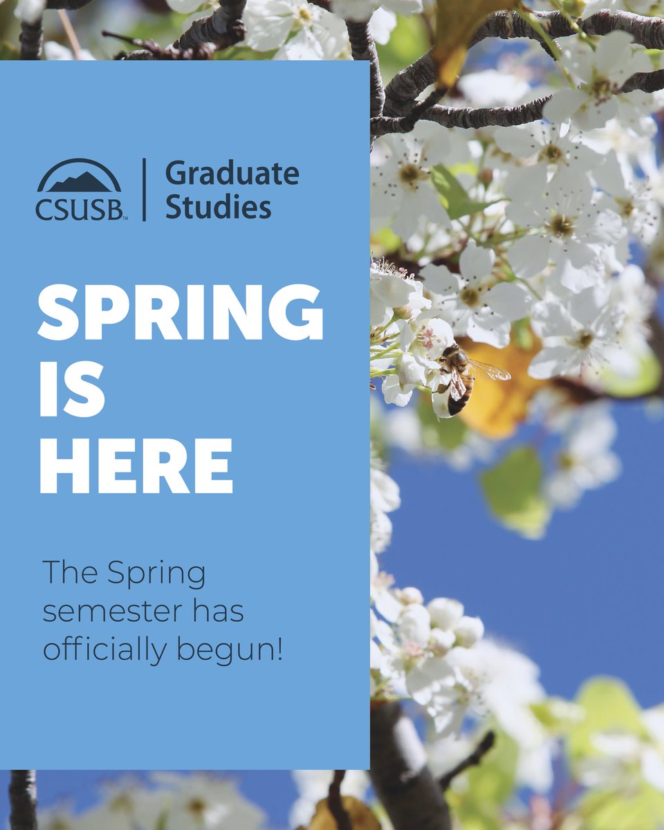 CSUSB Graduate Studies tweet media