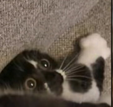 DAMdude85 tweet media