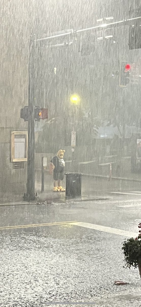 @CyberKitsune.net on bsky tweet media