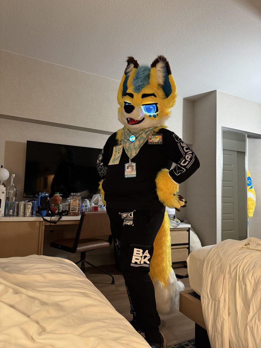 @CyberKitsune.net on bsky tweet media