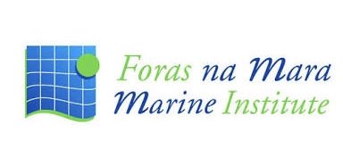 Belgium in Ireland tweet media