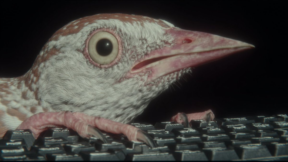 Bird typing key art
