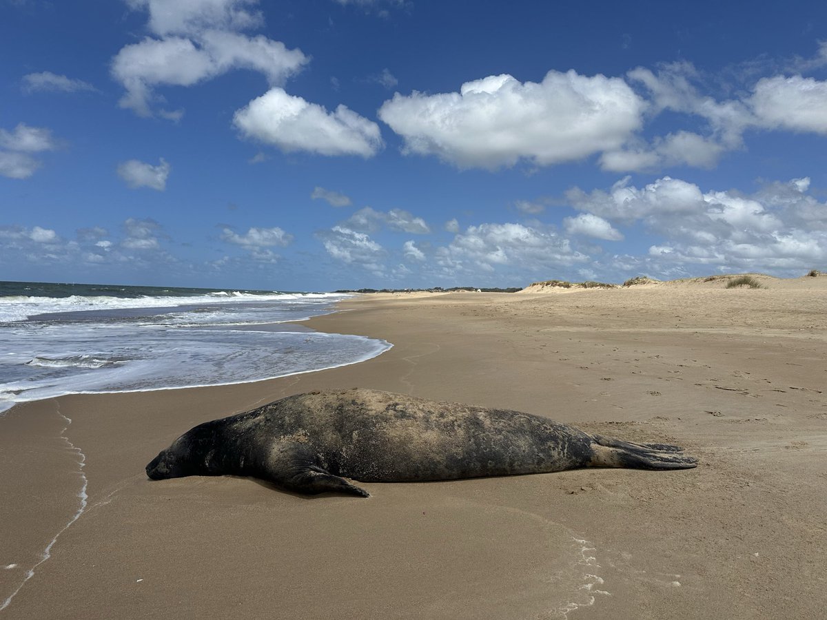 𝗔𝗹𝗲𝗷𝗮𝗻𝗱𝗿𝗼 𝗛𝗼𝗿𝗮𝗰𝗸 tweet media