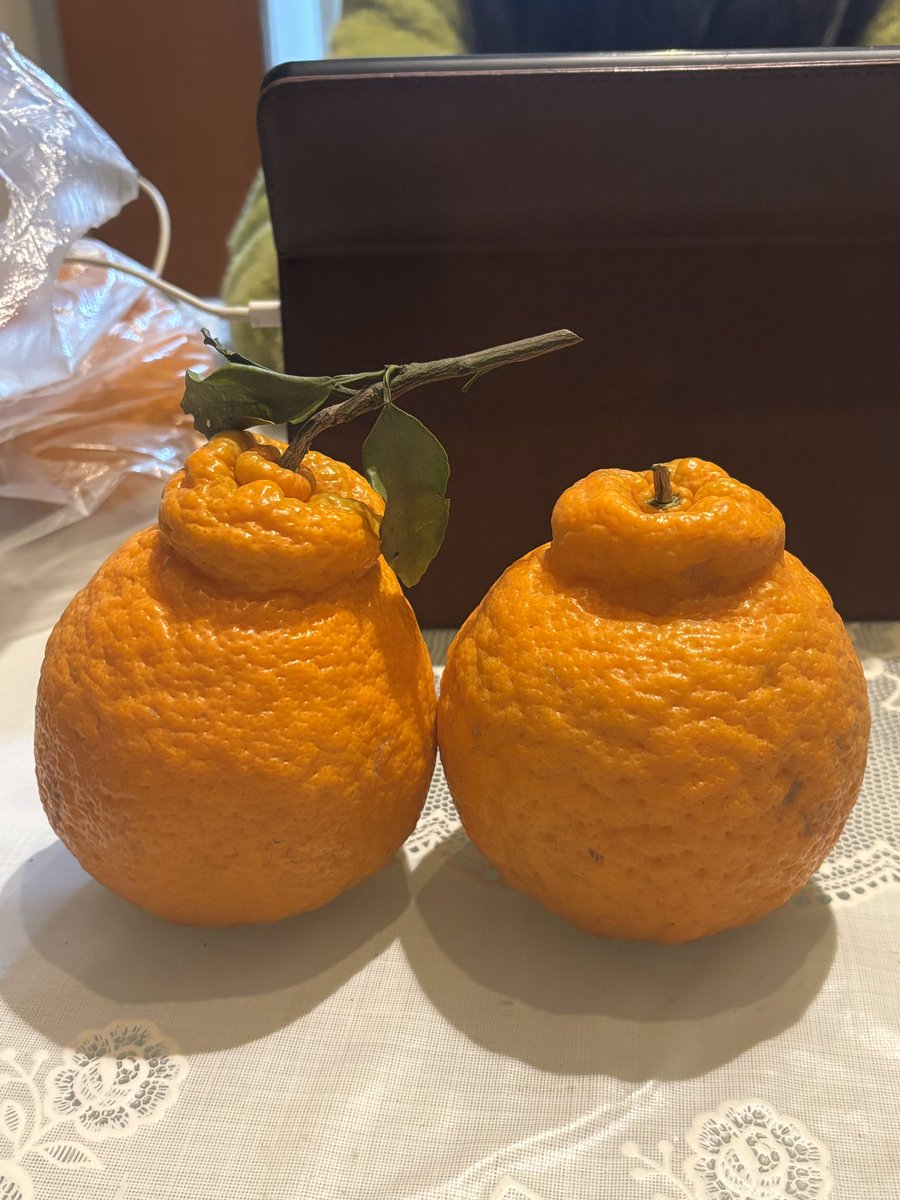 yeseye (@yeseyesw) on Twitter photo 