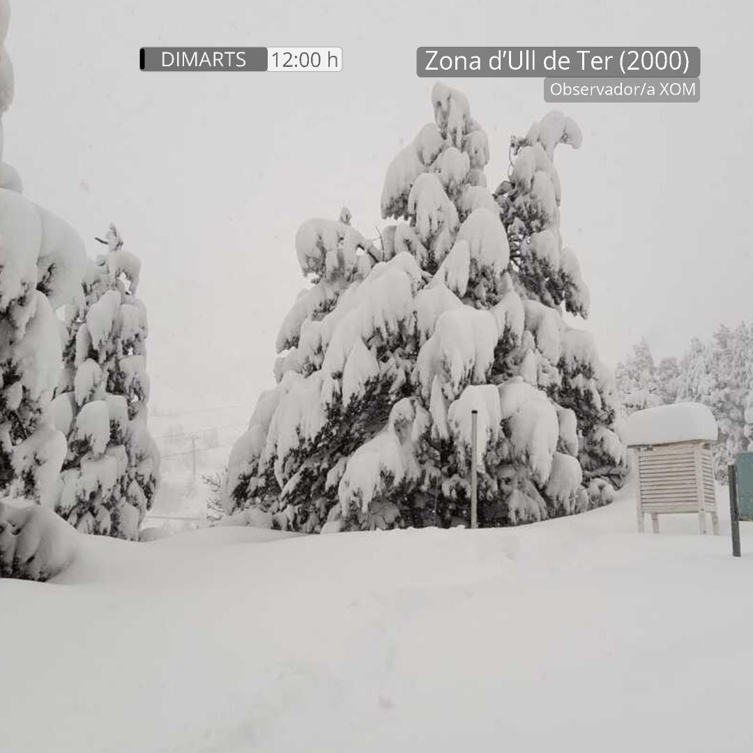 Meteocat tweet media