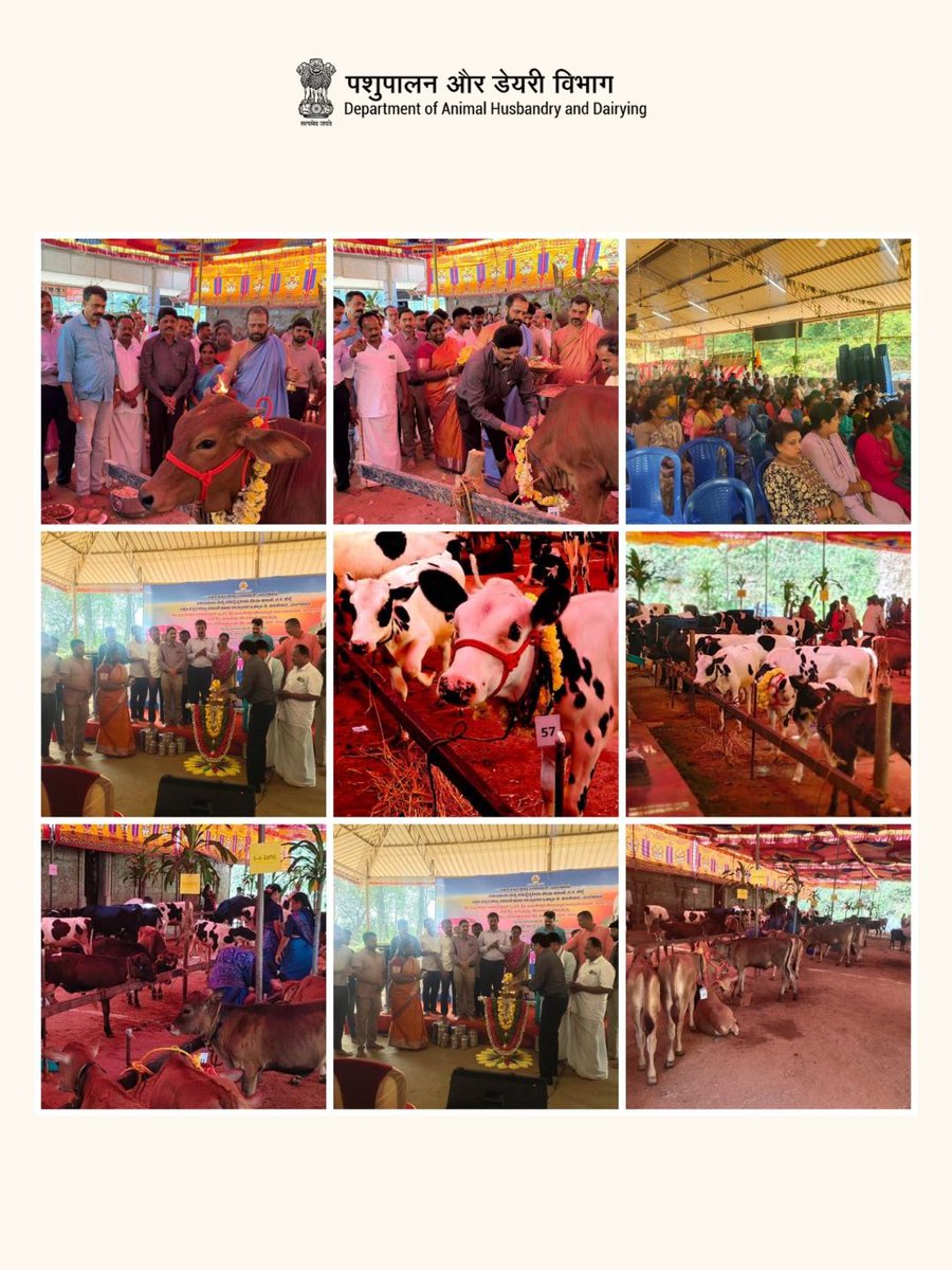 upldblko's tweet photo. The Calf Rally held at the Subramanya VH area, Kadaba Taluk, Dakshina Kannada district, Karnataka, witnessed enthusiastic participation from officials, veterinary staff, and Pashusakhis. The event reflected collective efforts toward animal welfare and community awareness.
#upldb https://t.co/GWEm1hNPG4
