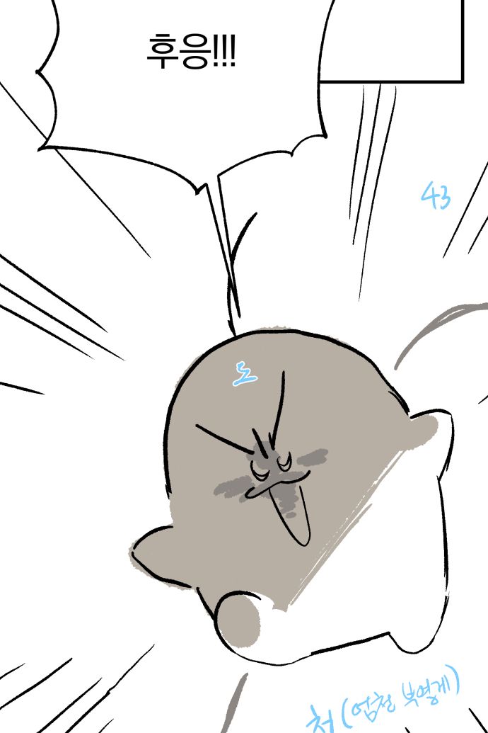팀 더 지크 tweet media