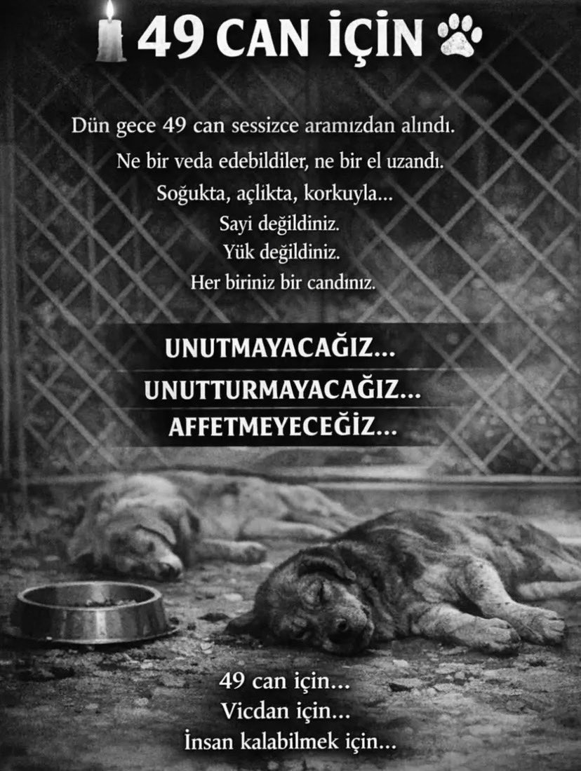 <a href="/eskisehirbb/">Eskişehir Büyükşehir Belediyesi</a> barınağında;
Eskişehir’in ölümcül soğuğunda
Kulübelerinin ve sundurma dahi olmadığı, hayvanların birarada cins, büyüklük ayrılmadan yaşadığı ve mamaya ulaşabilmek için yaşanılan kavgada 49 canın öldüğü iddia ediliyor.

<a href="/herkesicinCHP/">CHP 🇹🇷</a> 
Peki bu iddialar doğru mudur?