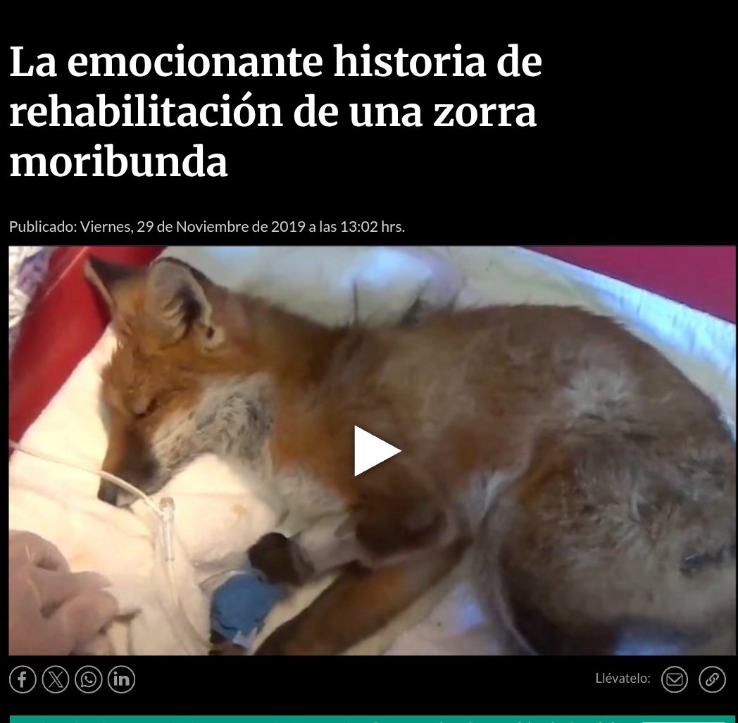 Bienvenido a la U Juan Martin Lucero!